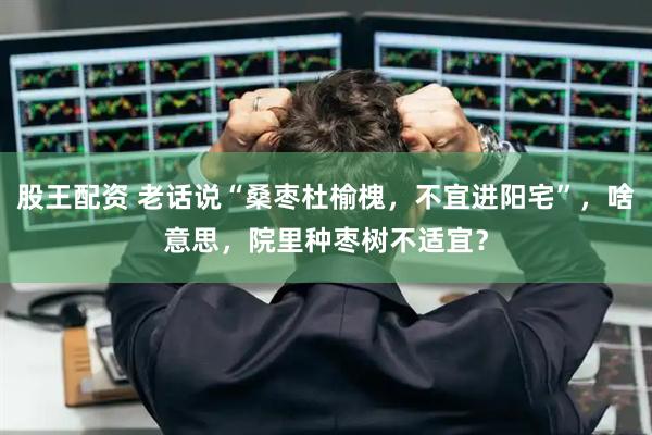 股王配资 老话说“桑枣杜榆槐，不宜进阳宅”，啥意思，院里种枣树不适宜？