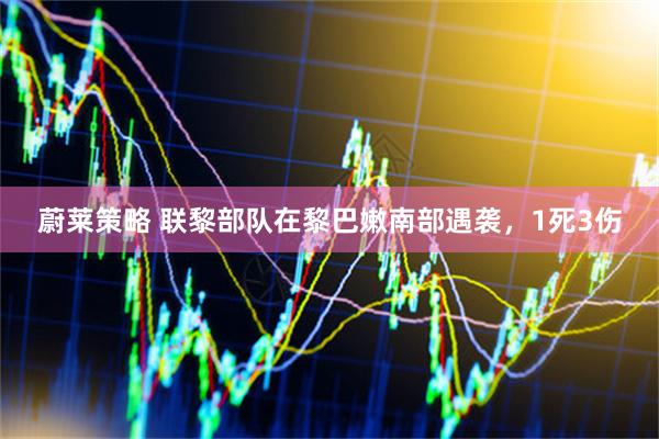 蔚莱策略 联黎部队在黎巴嫩南部遇袭，1死3伤